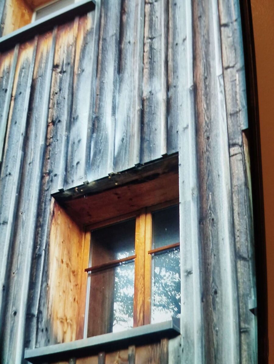 enlever un nid d abeille