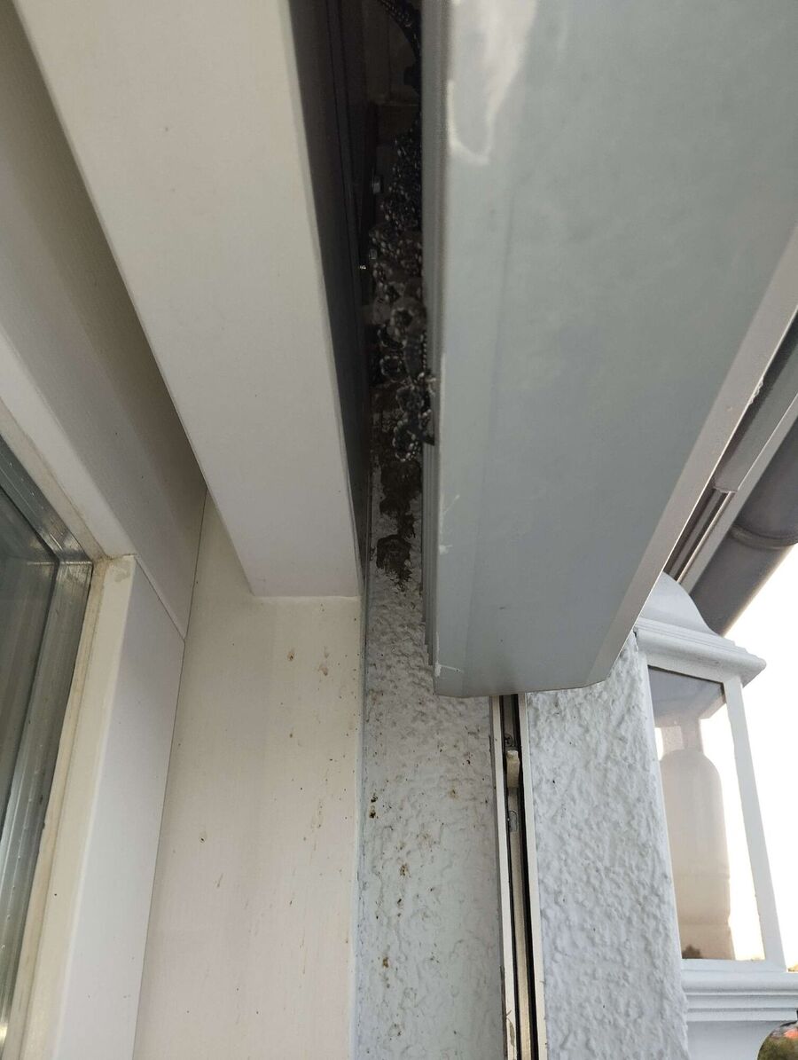 ruche abeille maison que faire