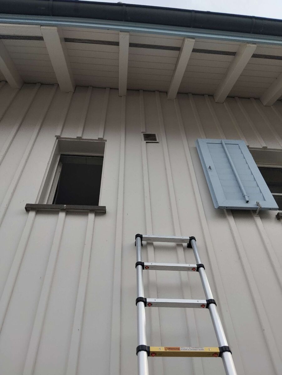 essaim d abeille enlevement