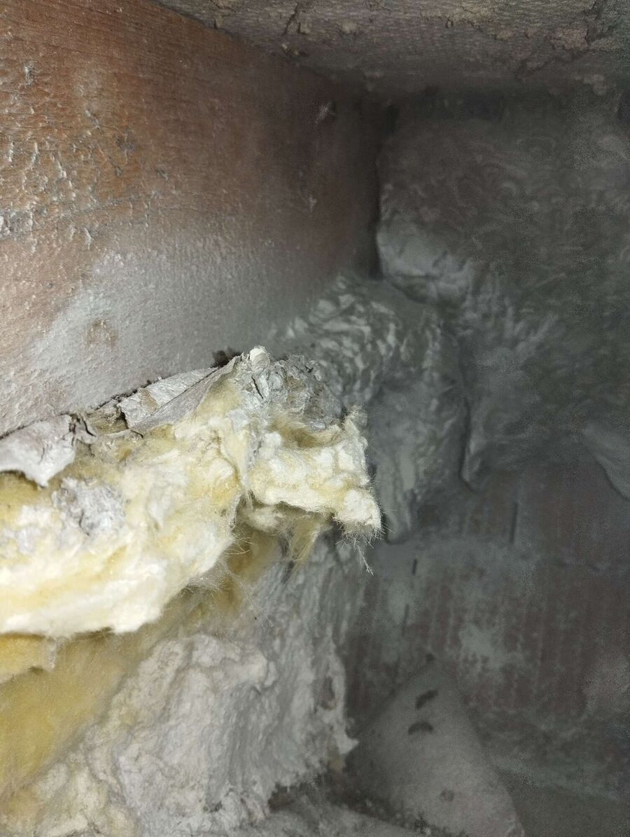 ruche abeille maison que faire