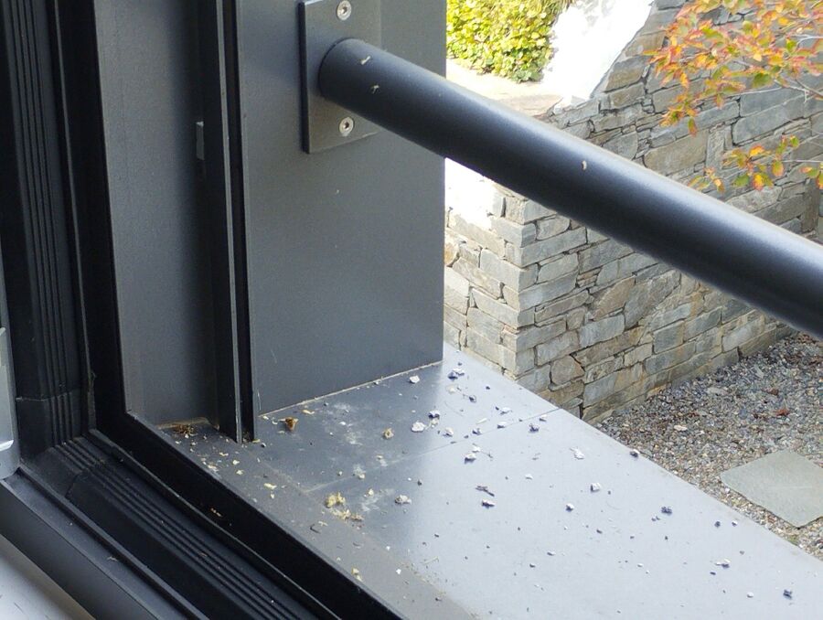 ruche abeille maison que faire