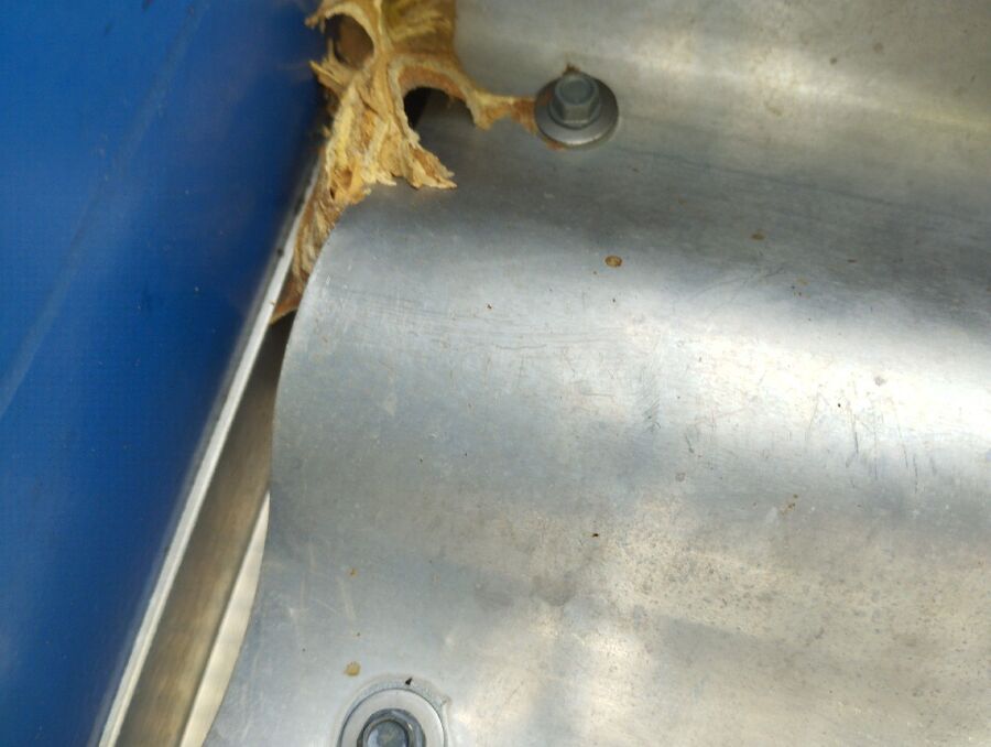 essaim d abeille enlevement