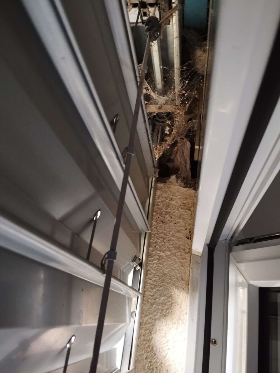 enlever un nid d abeille