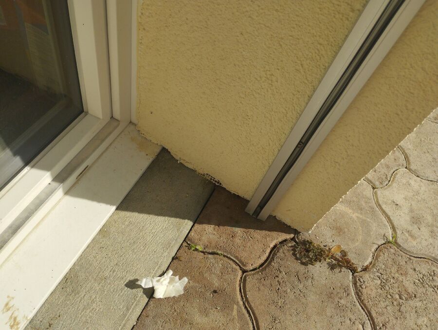 nid d abeille que faire