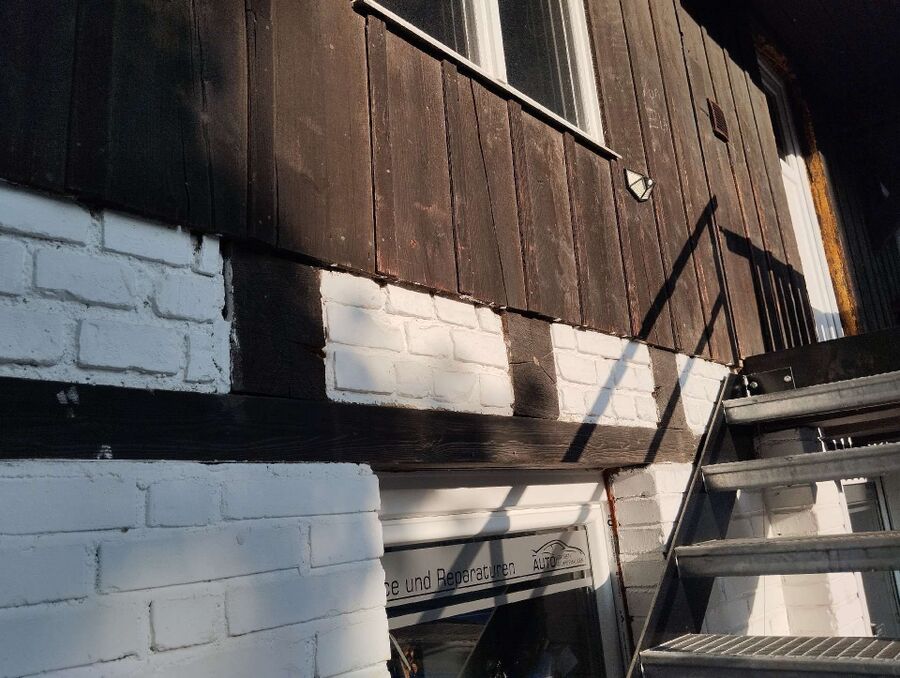 ruche abeille maison que faire