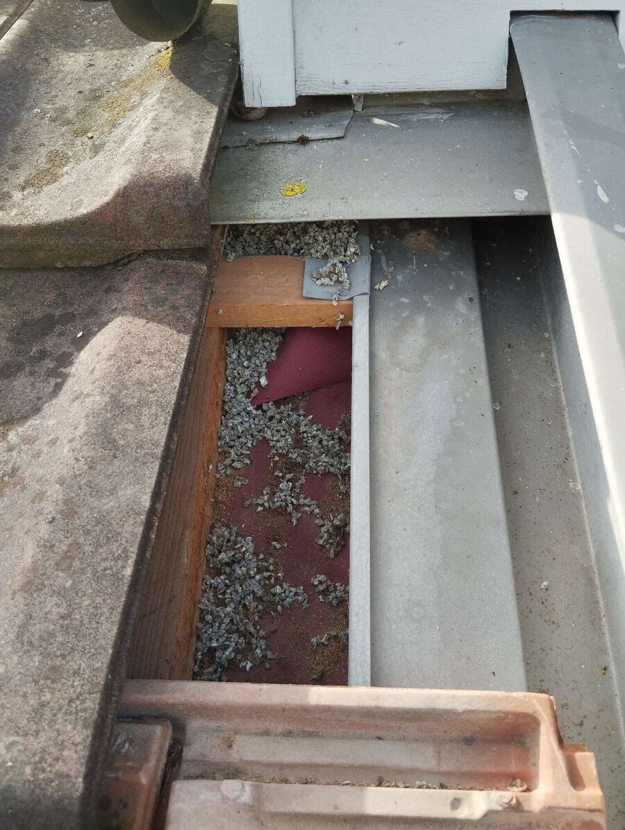 essaim d abeille enlevement