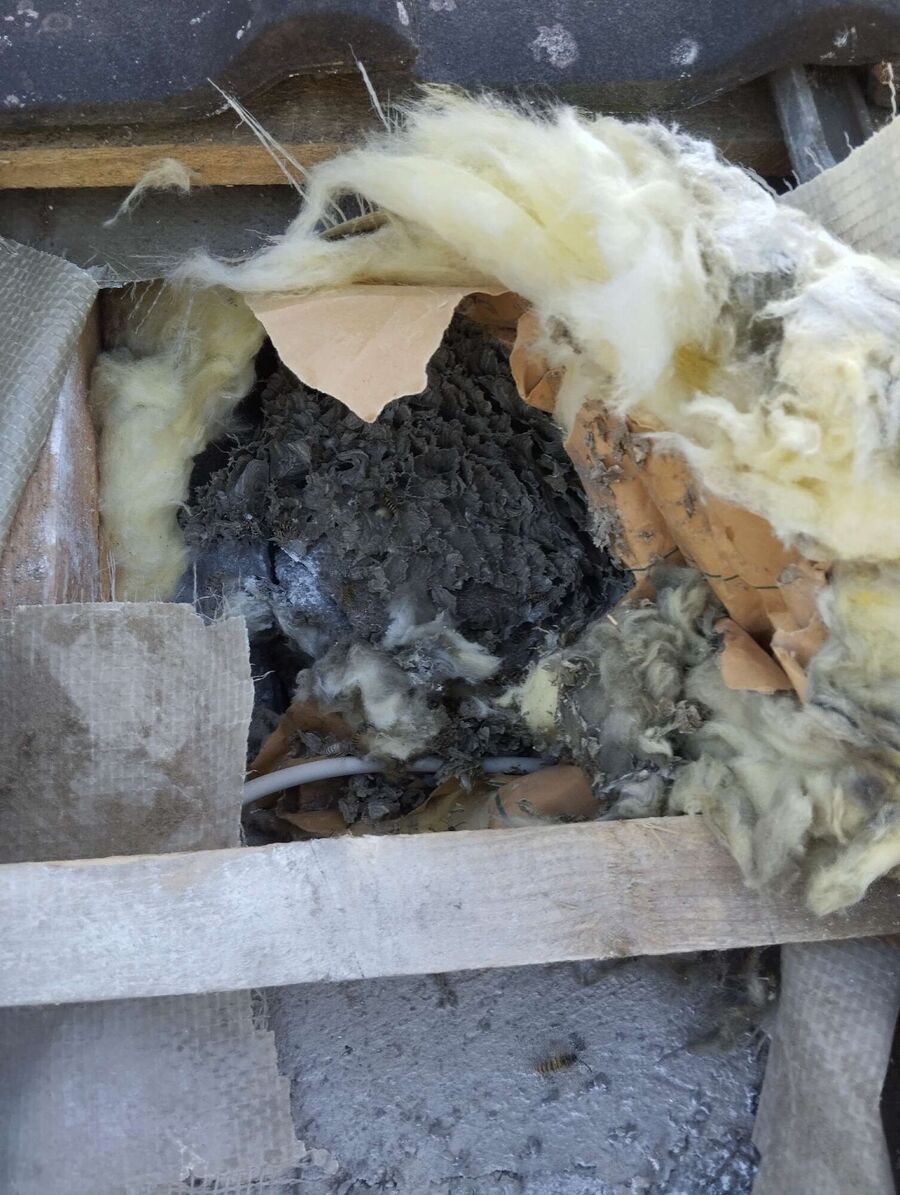 enlever un nid d abeille