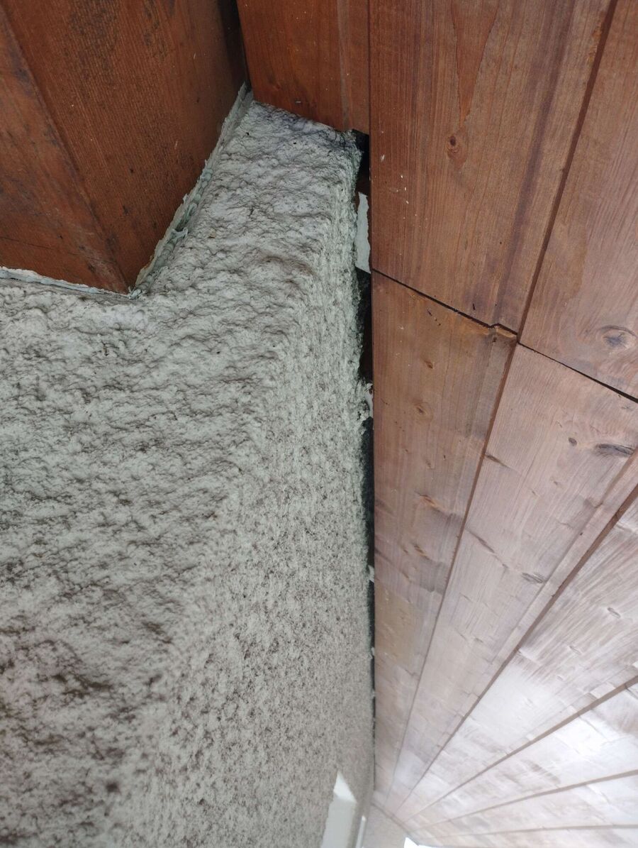 ruche abeille maison que faire