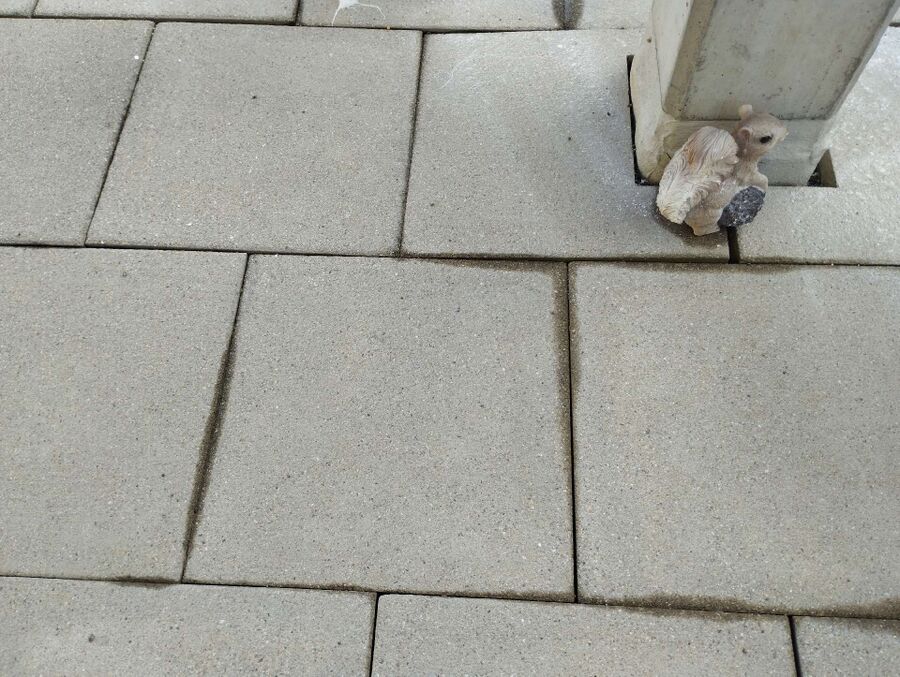 enlever un nid d abeille