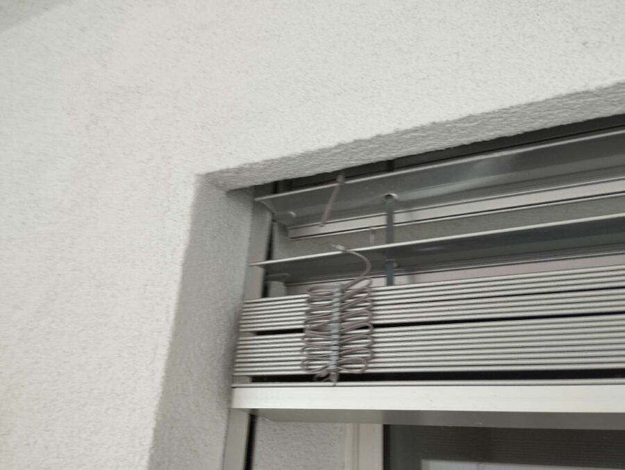 essaim d abeille enlevement