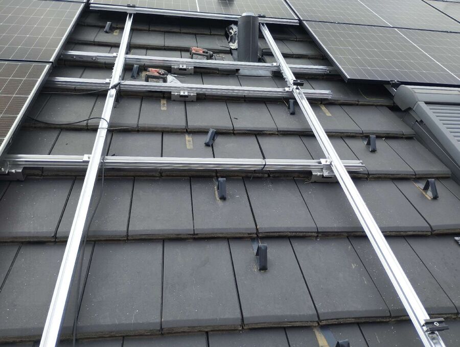 essaim d abeille enlevement