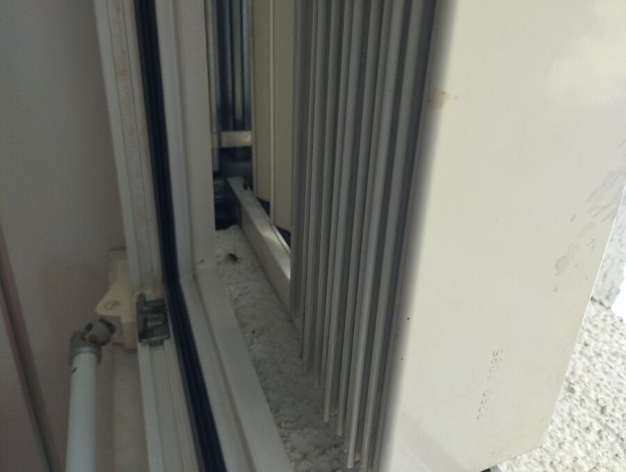 ruche abeille maison que faire