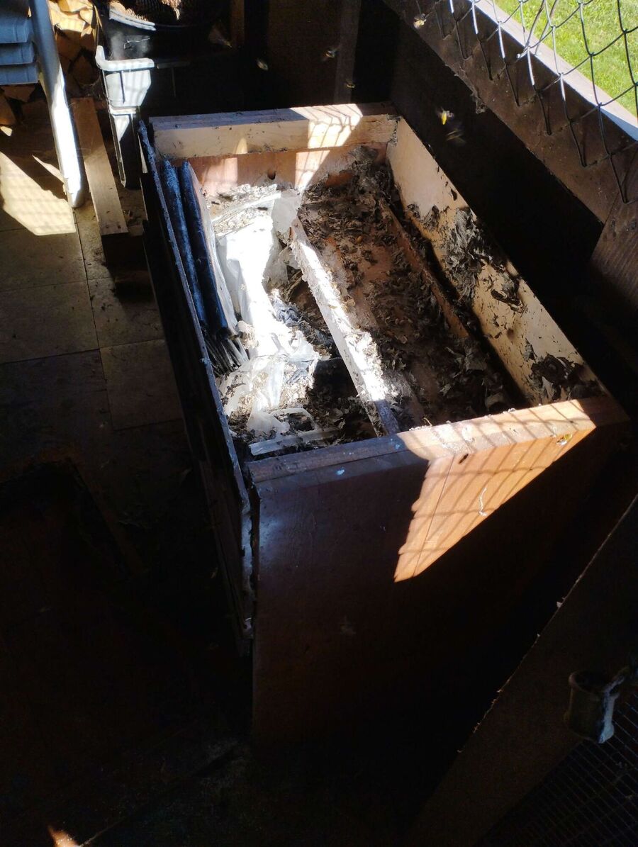 enlever un nid d abeille