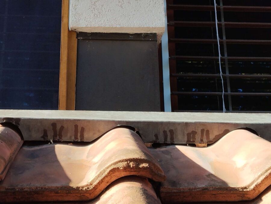 essaim d abeille enlevement