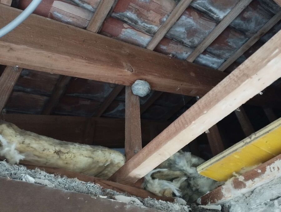 enlever un nid d abeille