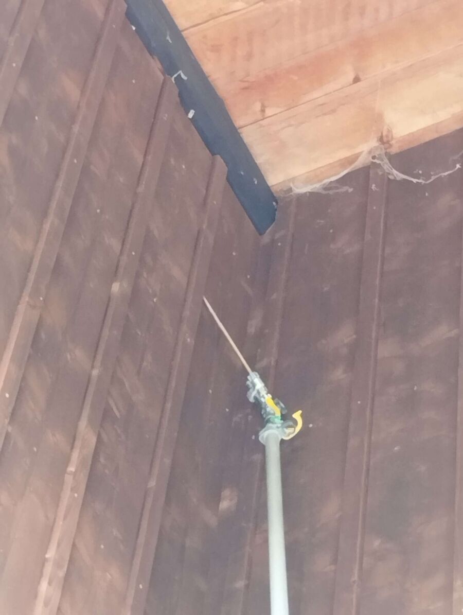 ruche abeille maison que faire