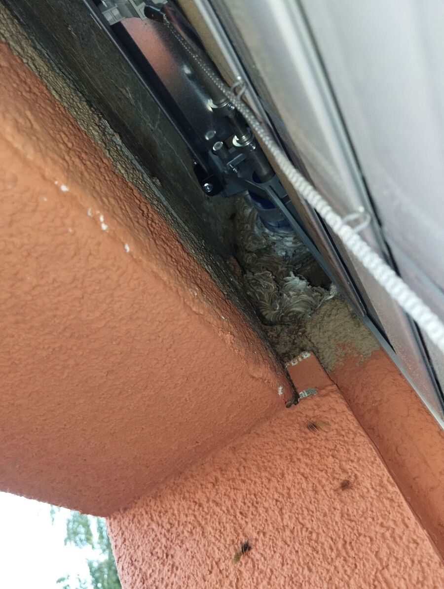 nid d abeille que faire