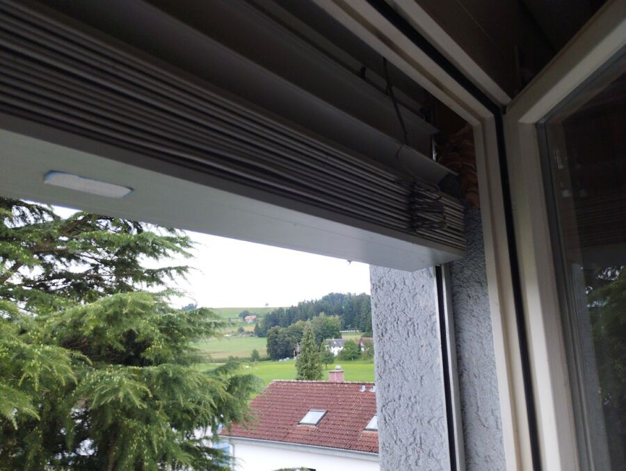 essaim d abeille enlevement