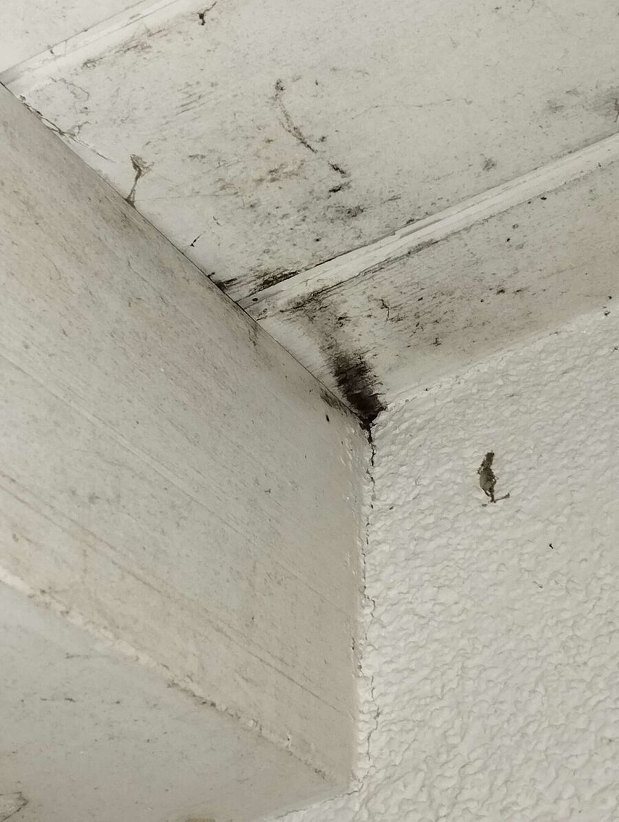 enlever un nid d abeille