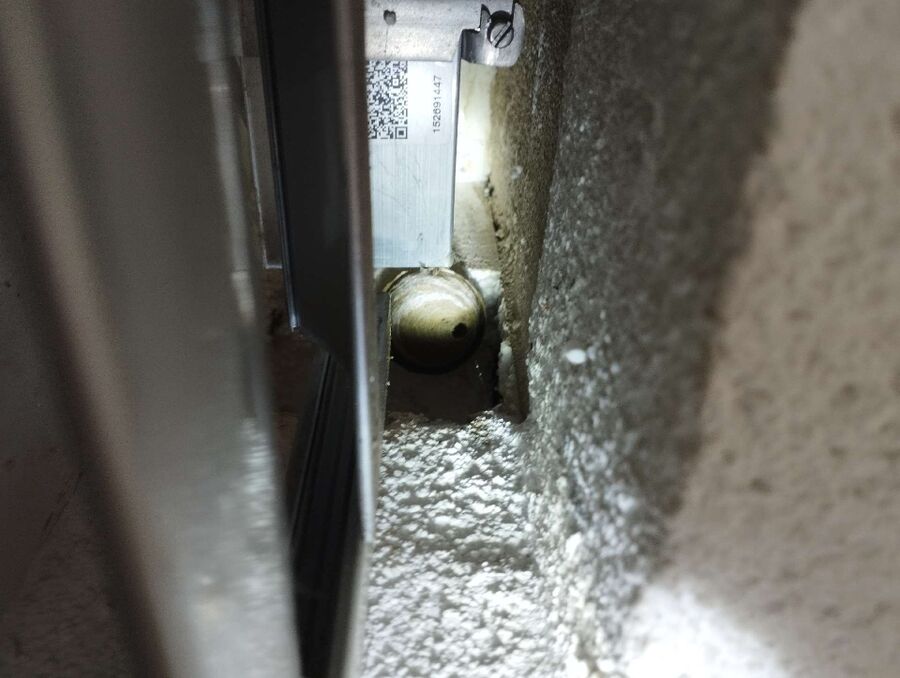 ruche abeille maison que faire