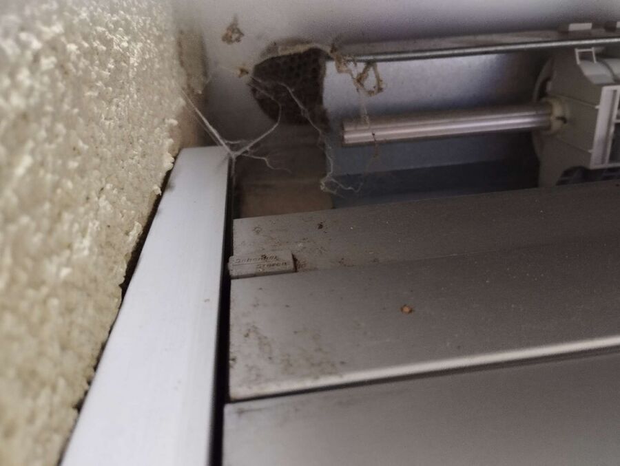 enlever un nid d abeille