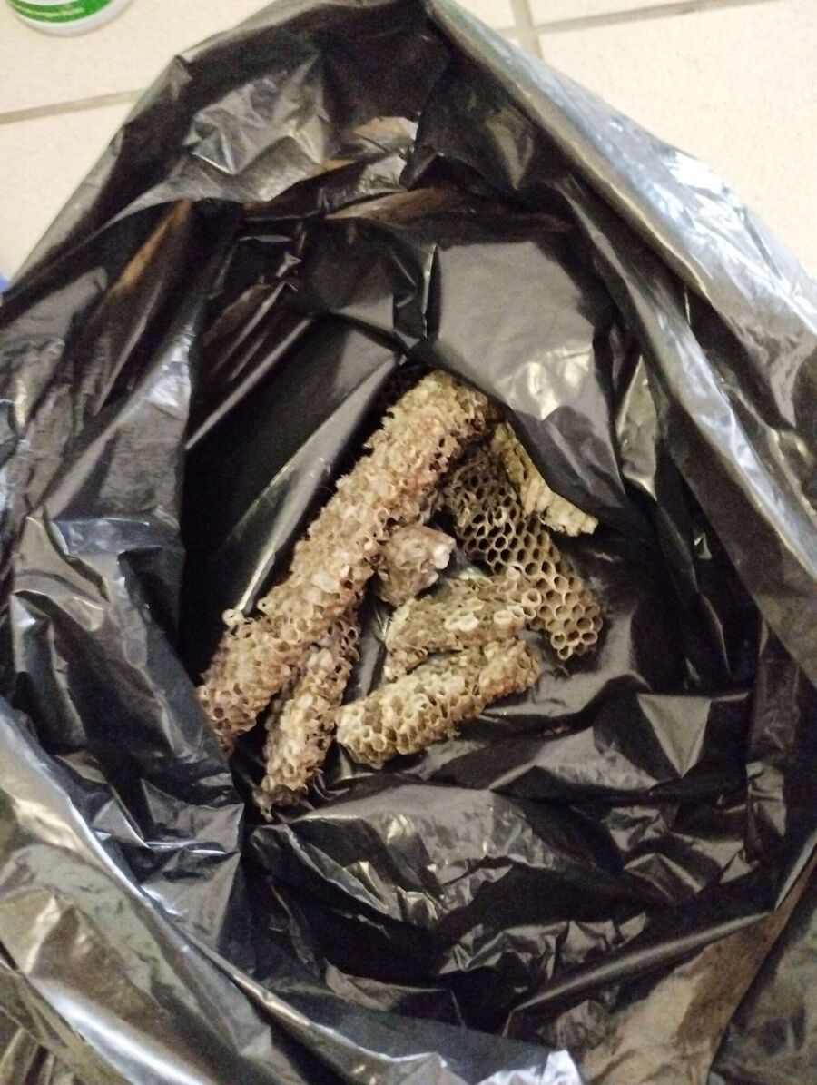 nid d abeille que faire