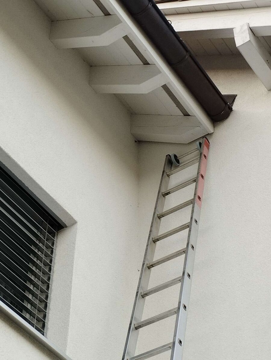 nid d abeille que faire