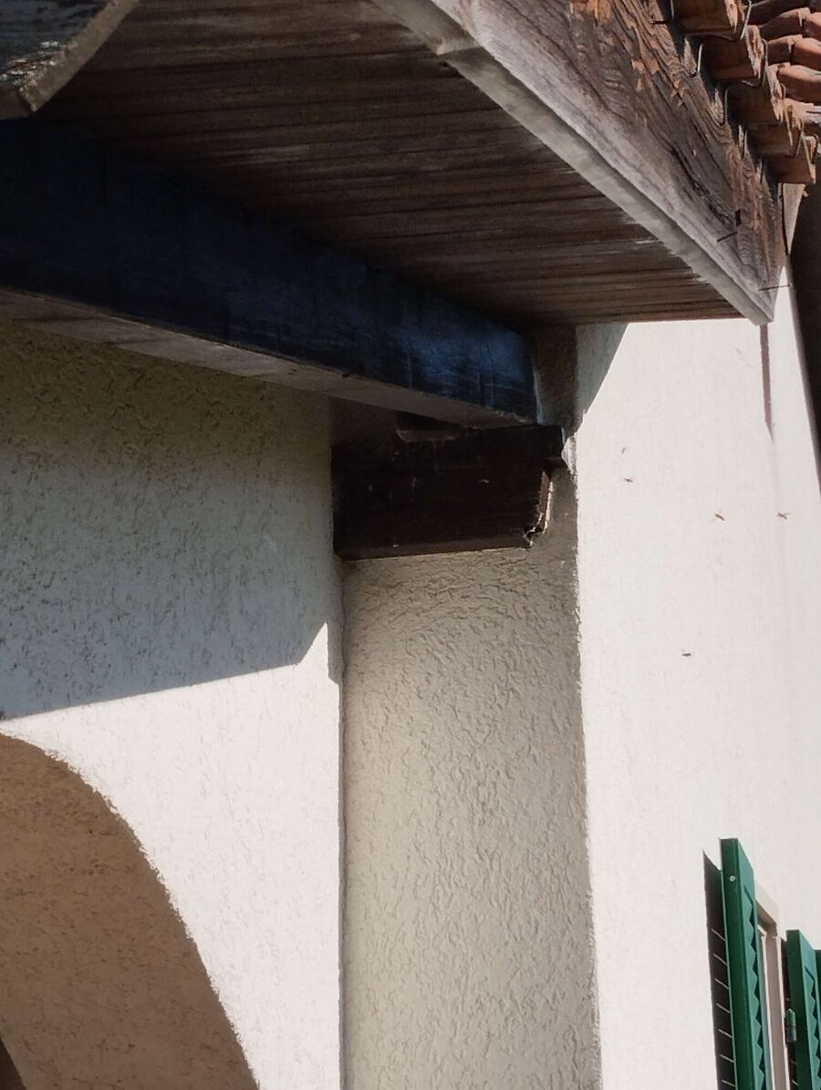 enlever un nid d abeille