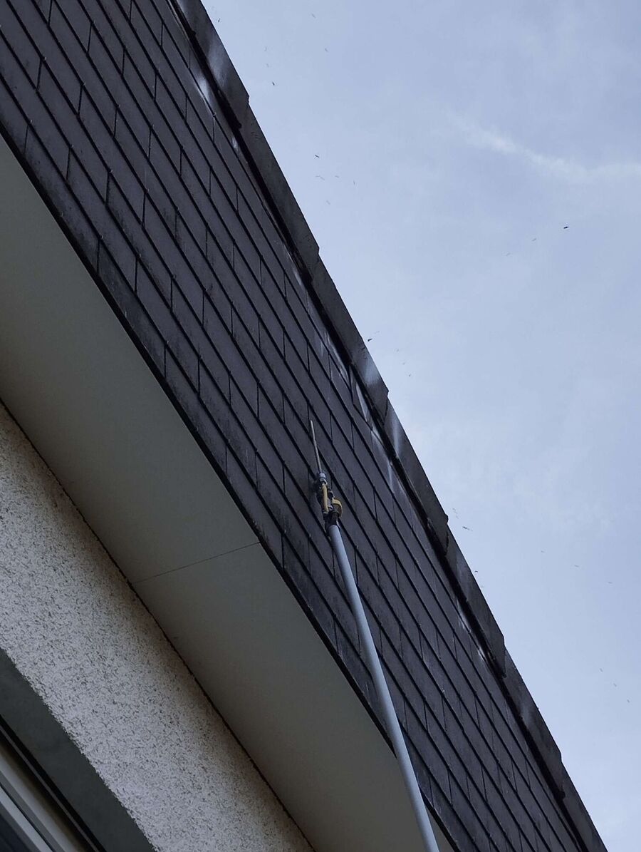 nid d abeille que faire