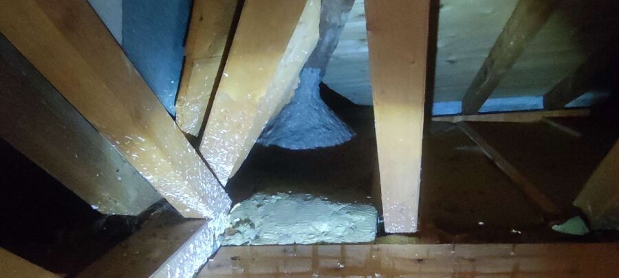 essaim d abeille enlevement