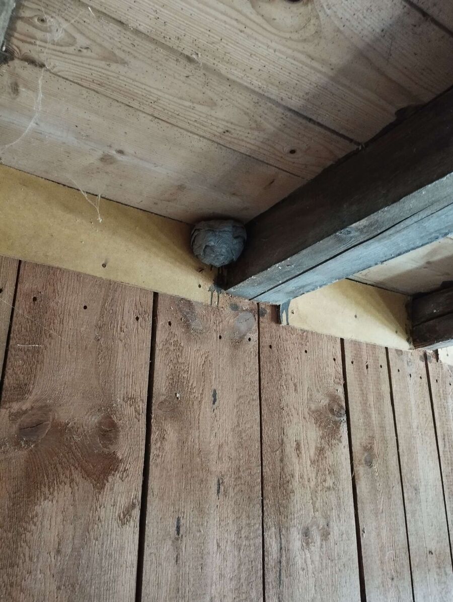 enlever un nid d abeille