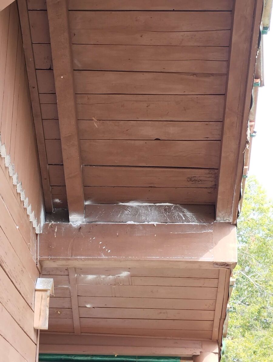 enlever un nid d abeille