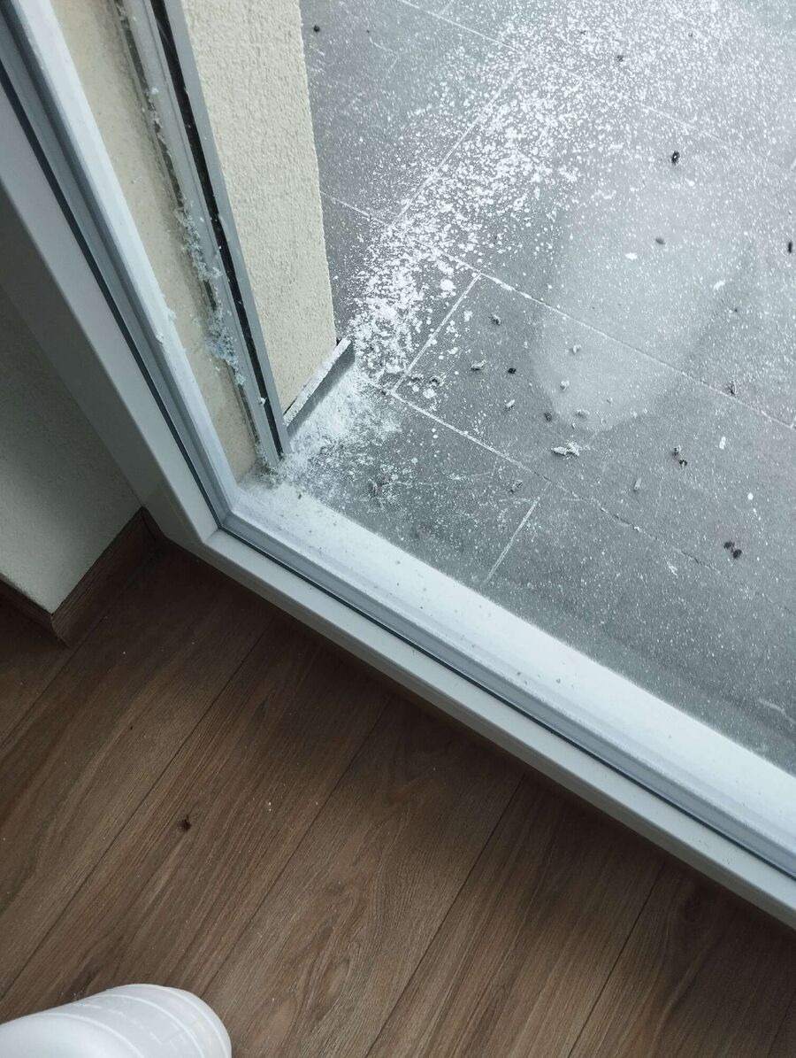 ruche abeille maison que faire