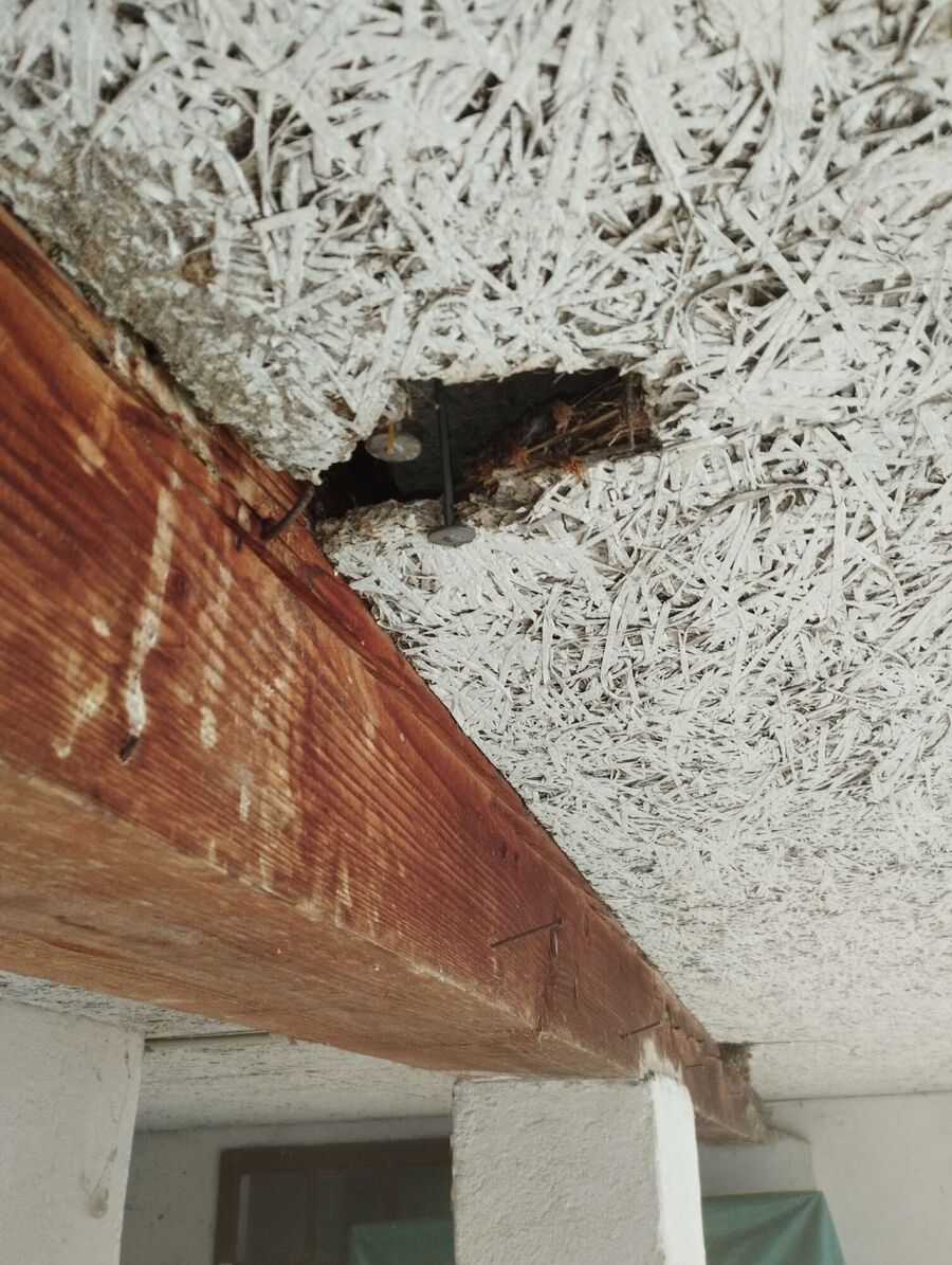 enlever un nid d abeille