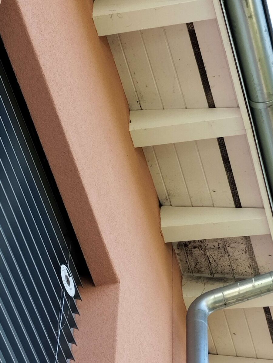 ruche abeille maison que faire