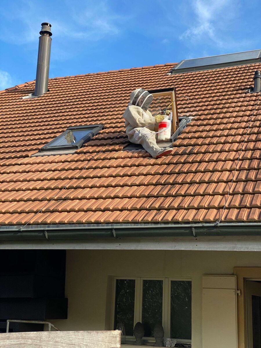 enlever un nid d abeille