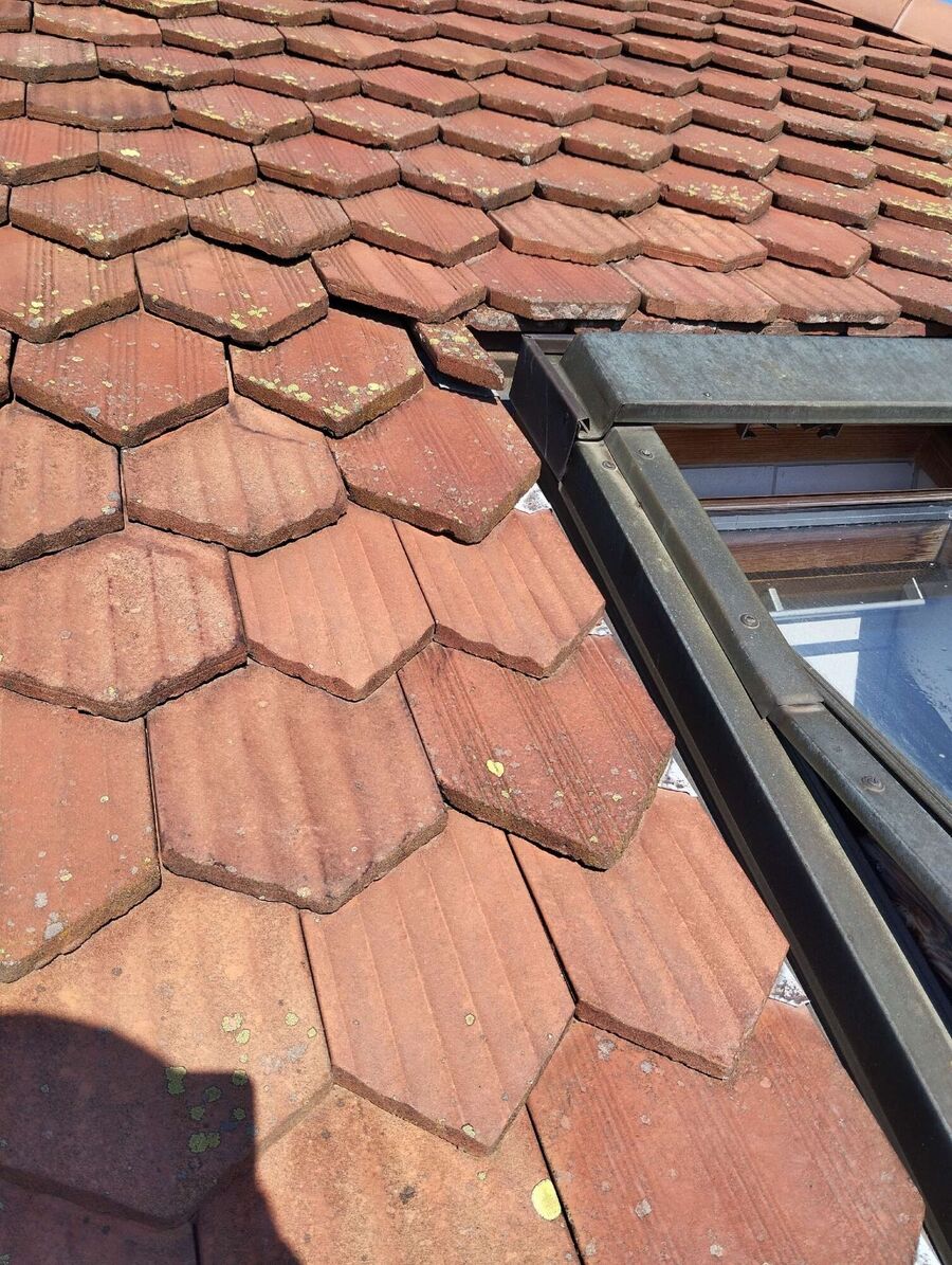 essaim d abeille enlevement