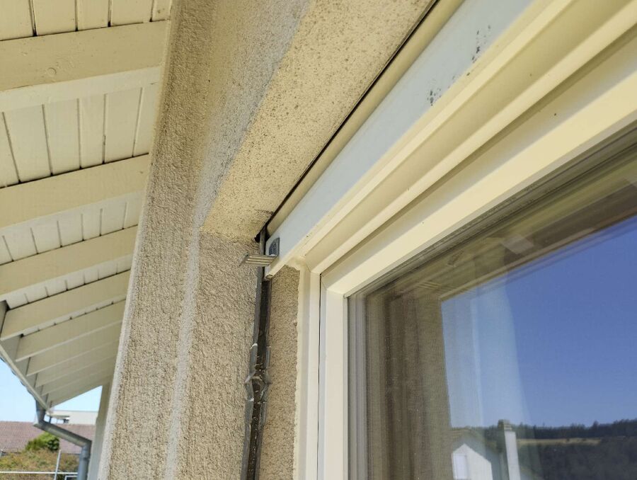 essaim d abeille enlevement