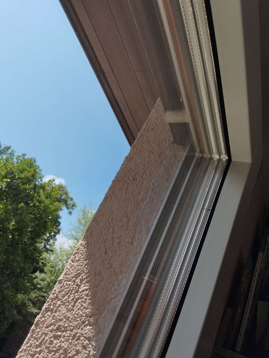 ruche abeille maison que faire