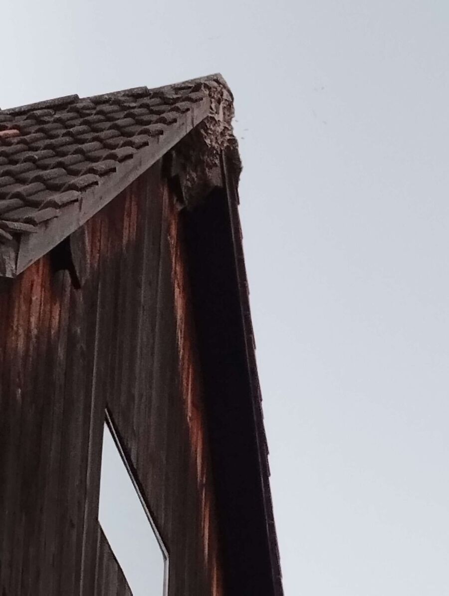 nid d abeille que faire