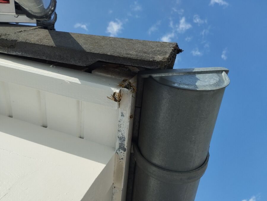 enlever un nid d abeille