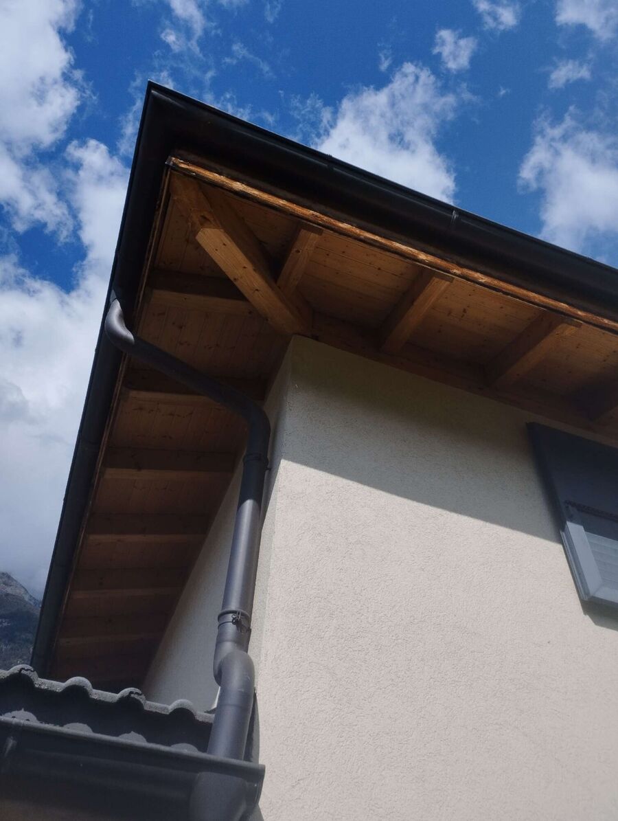 essaim d abeille enlevement