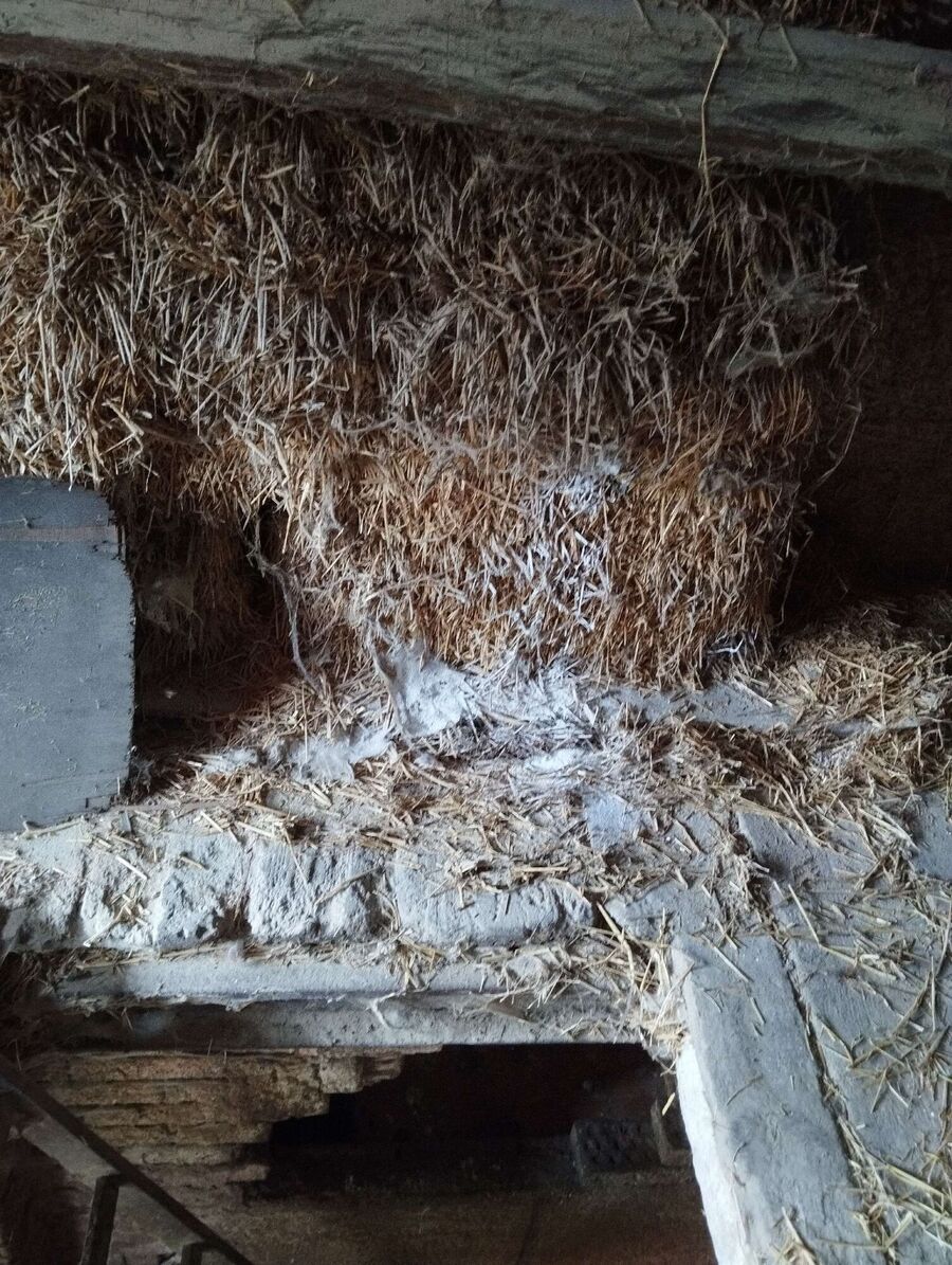 ruche abeille maison que faire