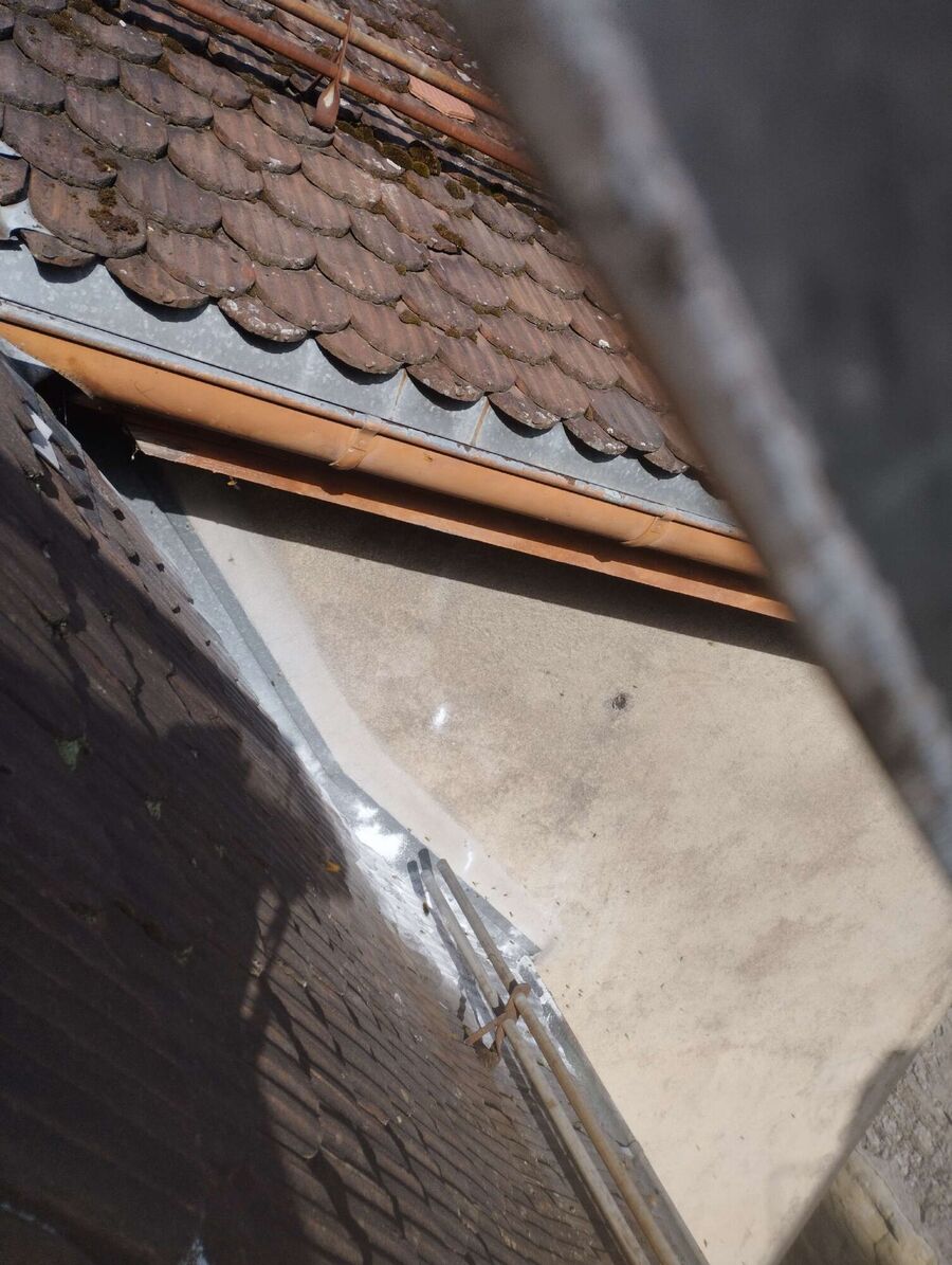 ruche abeille maison que faire