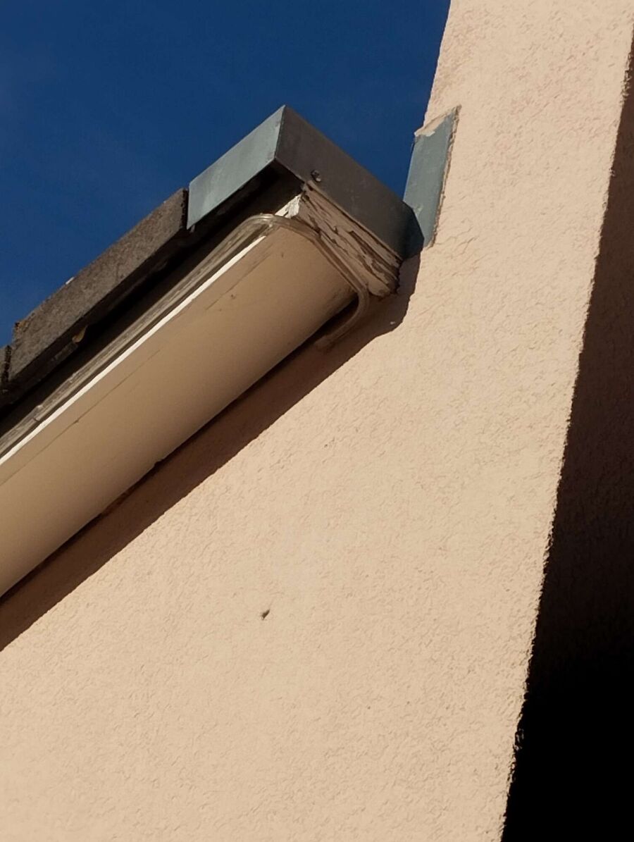 nid d abeille que faire