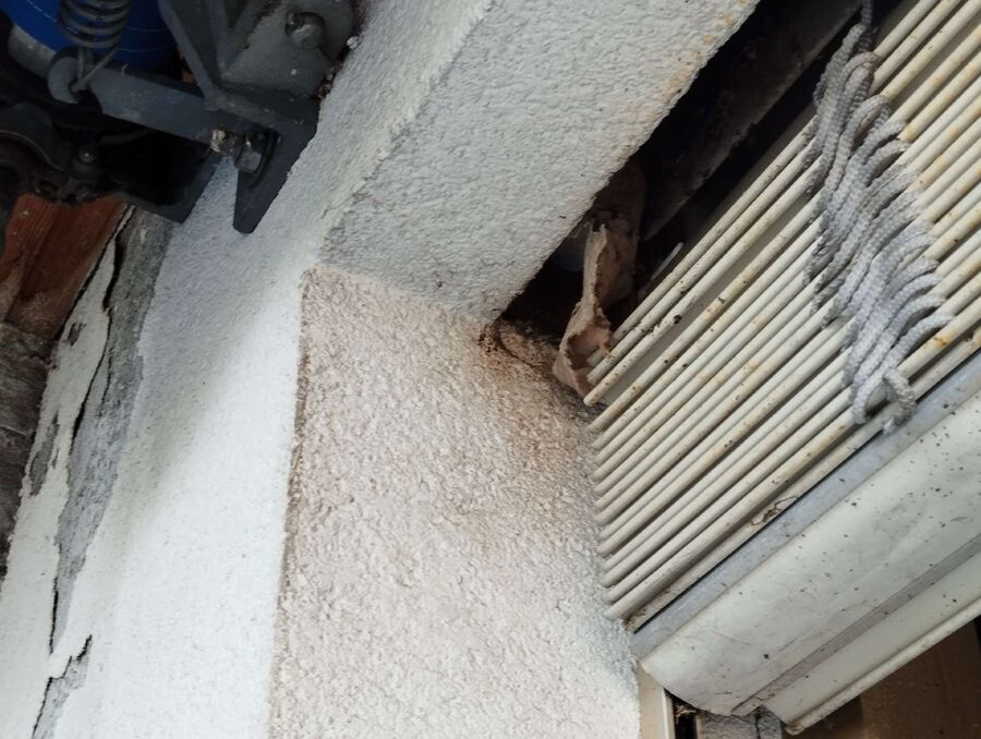 ruche abeille maison que faire