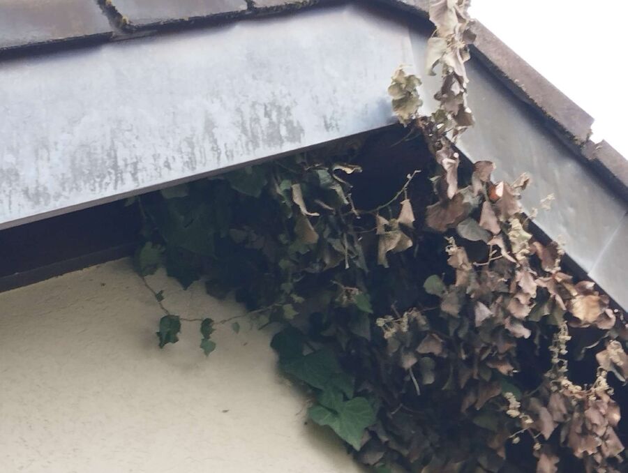 enlever un nid d abeille