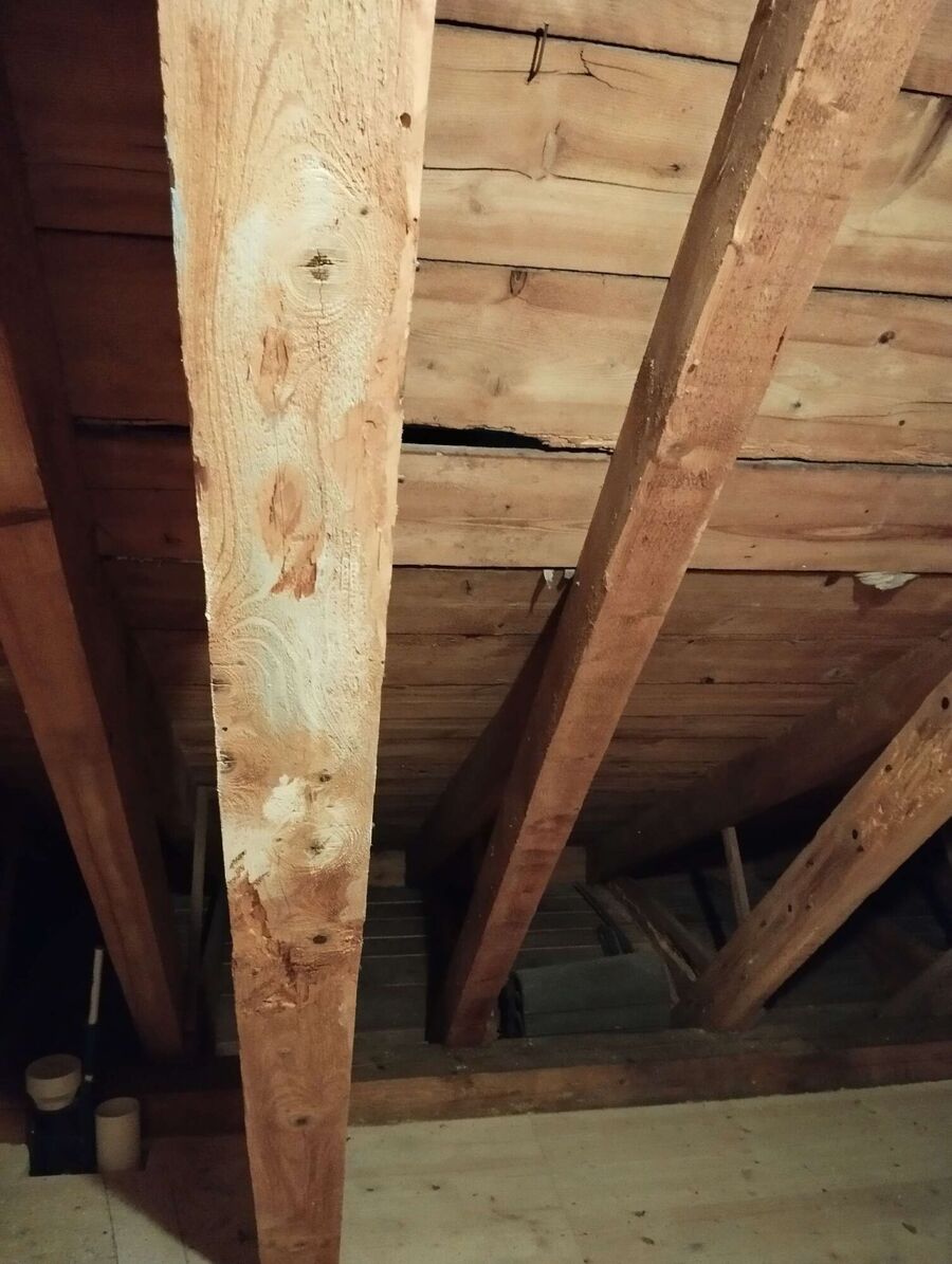 nid d abeille que faire