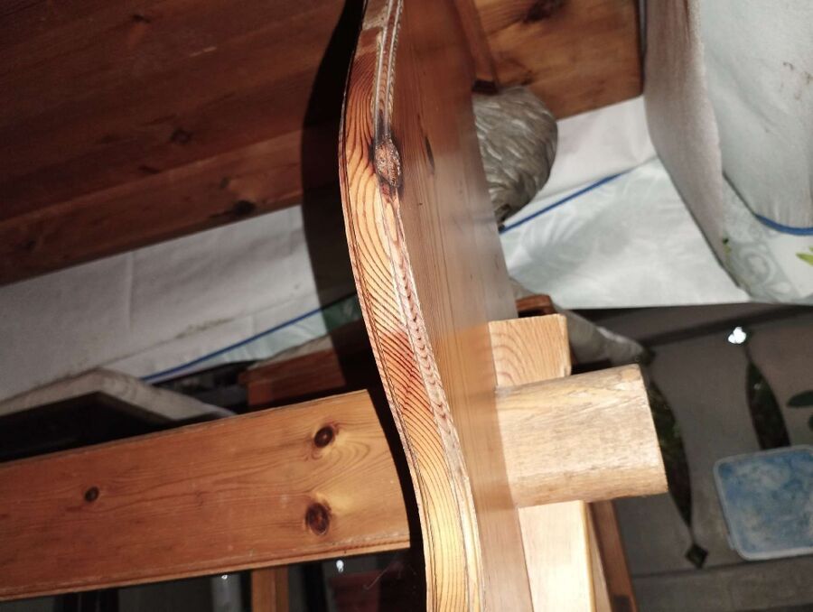 essaim d abeille enlevement