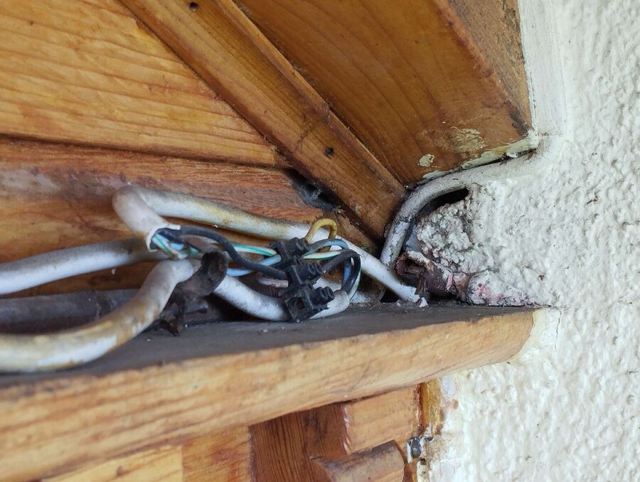 nid d abeille que faire